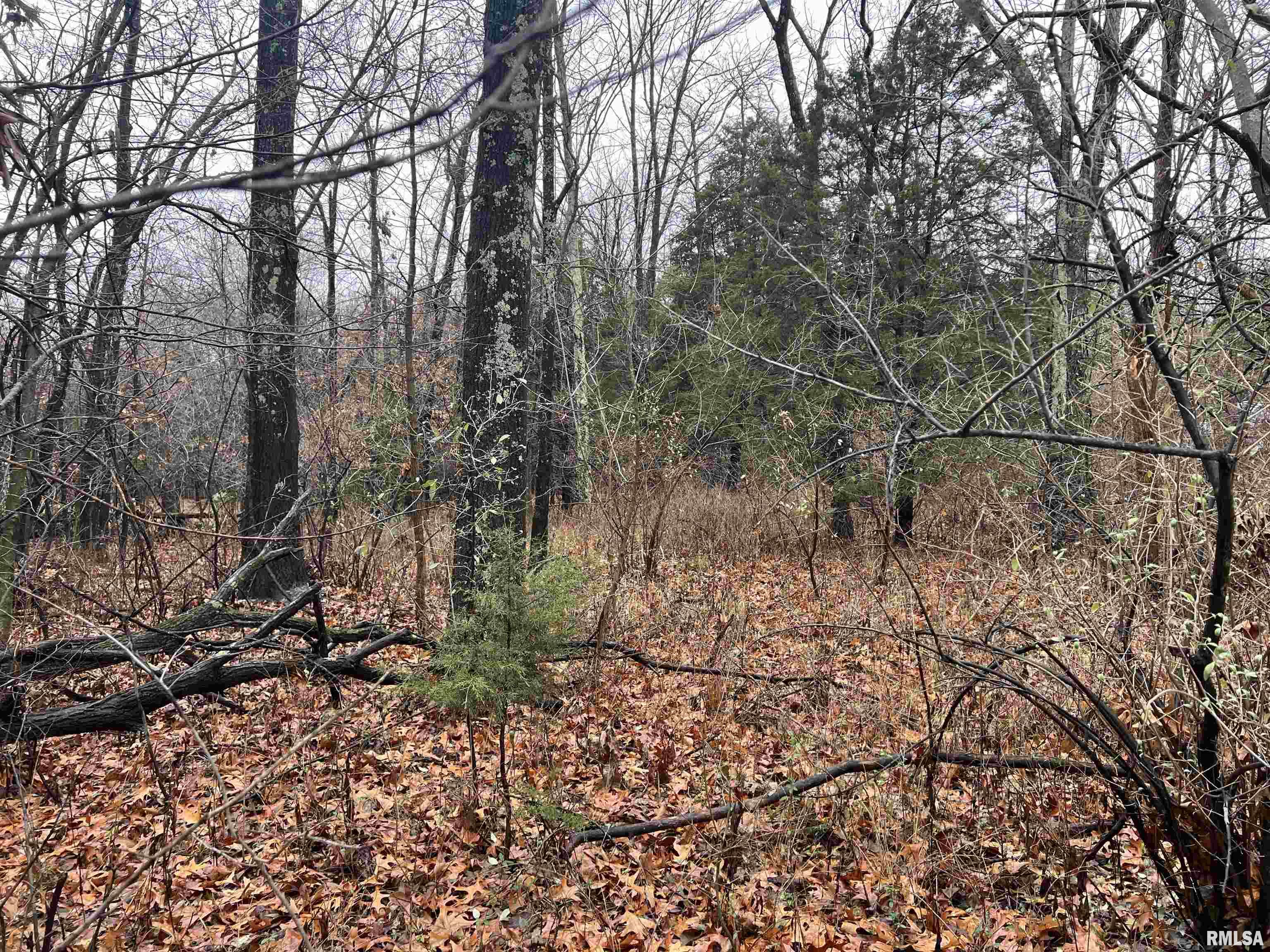 2975 Eagle Point Bay Road Goreville, IL 62939 - Photo 6 of 6