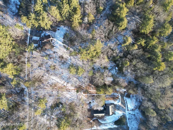 a view of a yard with trees