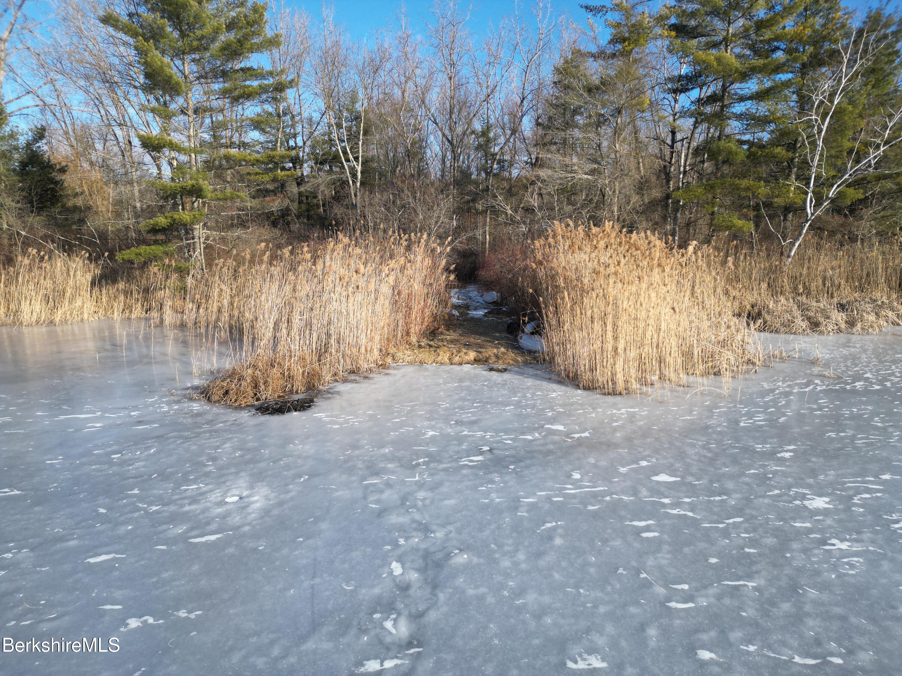 2 North Road Great Barrington, MA 01230 - Photo 7 of 11 a view of a yard