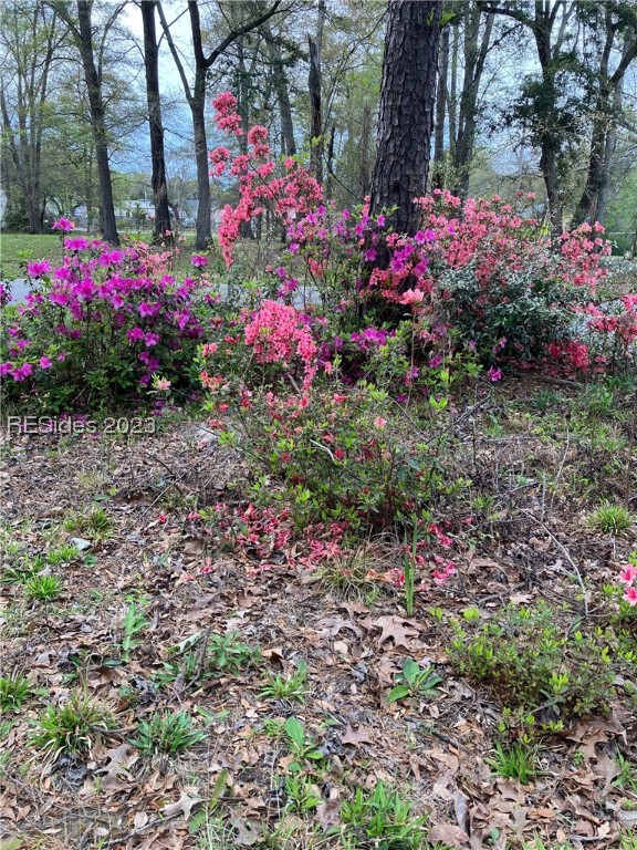 87 Salkehatchie Road Yemassee, SC 29945 - Photo 1 of 1 Gallery Image 1