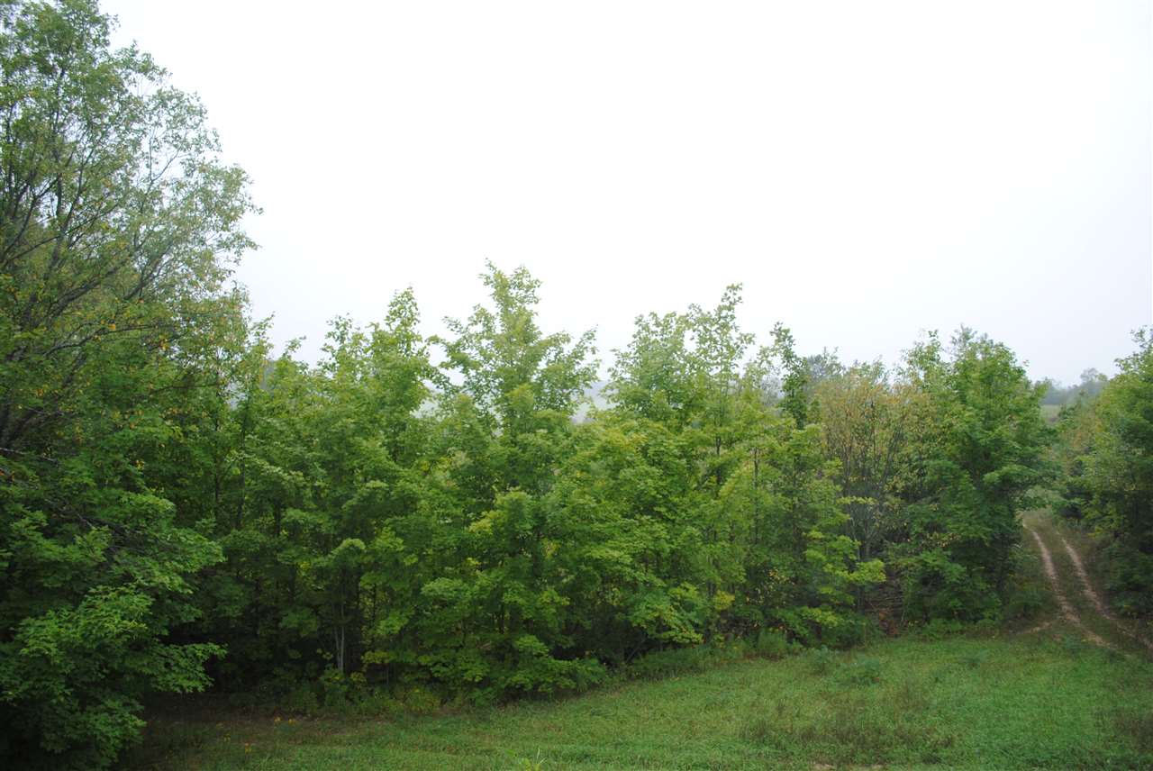 4258 North Seeley Road Manton, MI 49663 - Photo 54 of 62 1806024-56.JPG