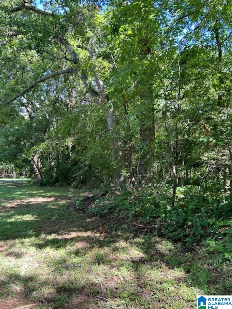 6587 Eastern Valley Road, Unit 6587 McCalla, AL 35111 - Photo 5 of 9