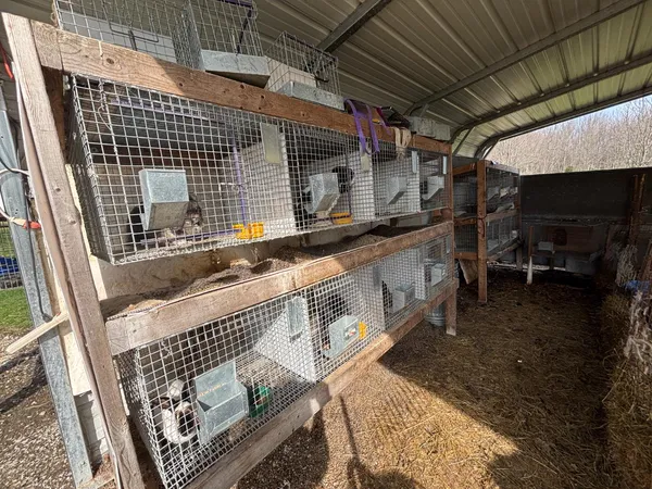 $570,000 | 18555 Days Way Lane, Aurora, IN 47001