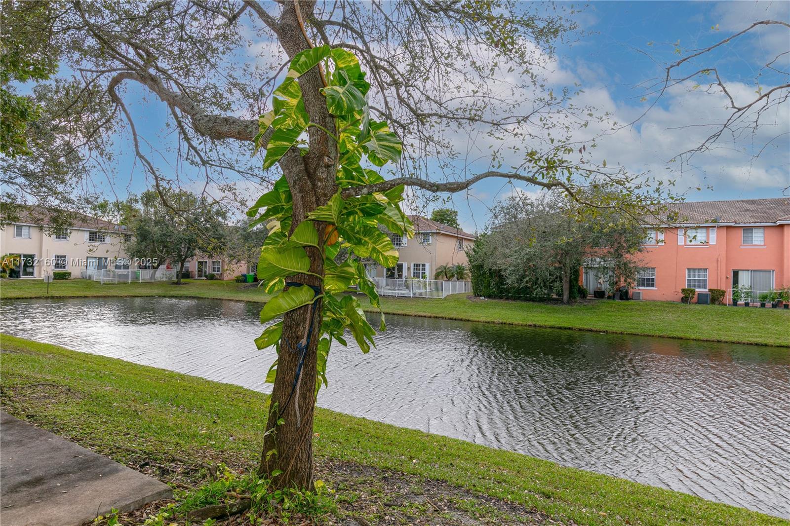 Spring Tree Sunrise, FL 33351 - Photo 35 of 44 a view of a garden with a lake