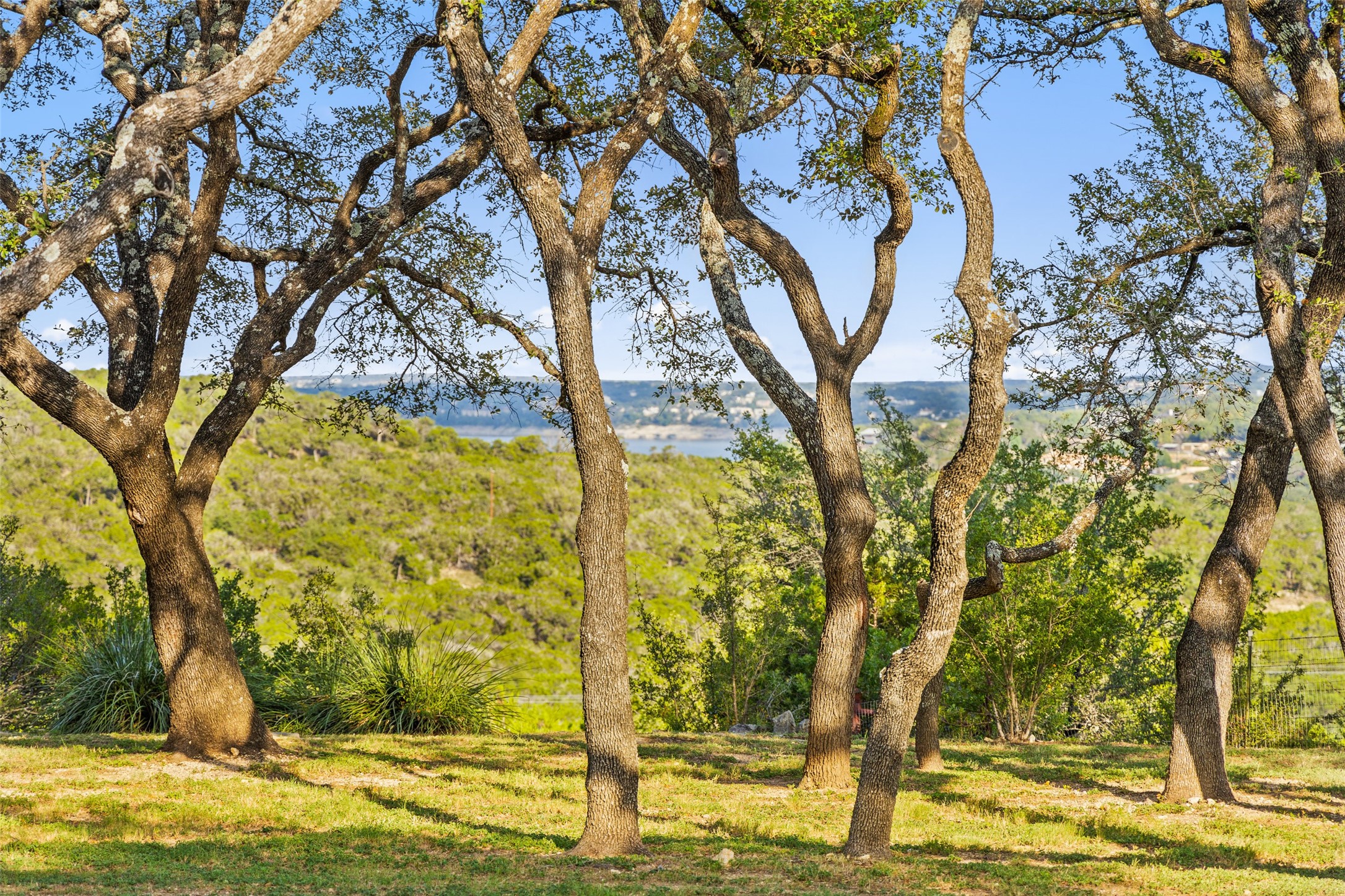 2412 Bee Creek Road Spicewood, TX 78669 - Photo 22 of 40 a view of a yard with large trees