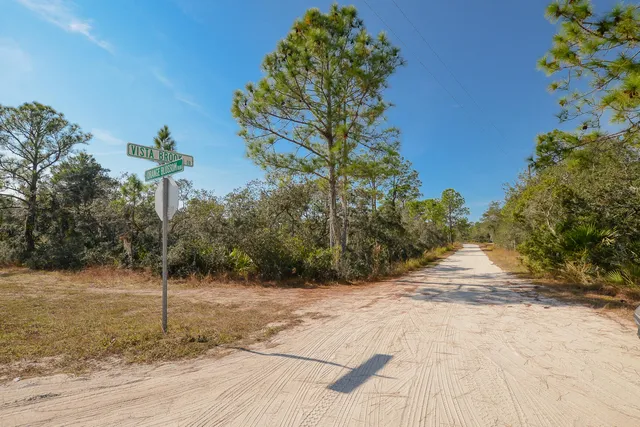 a street view with tall trees