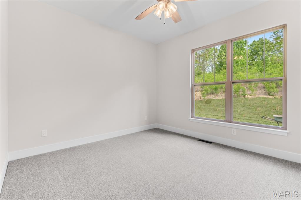 2947 Bluff Ridge Court Maryville, IL 62062 - Photo 34 of 60