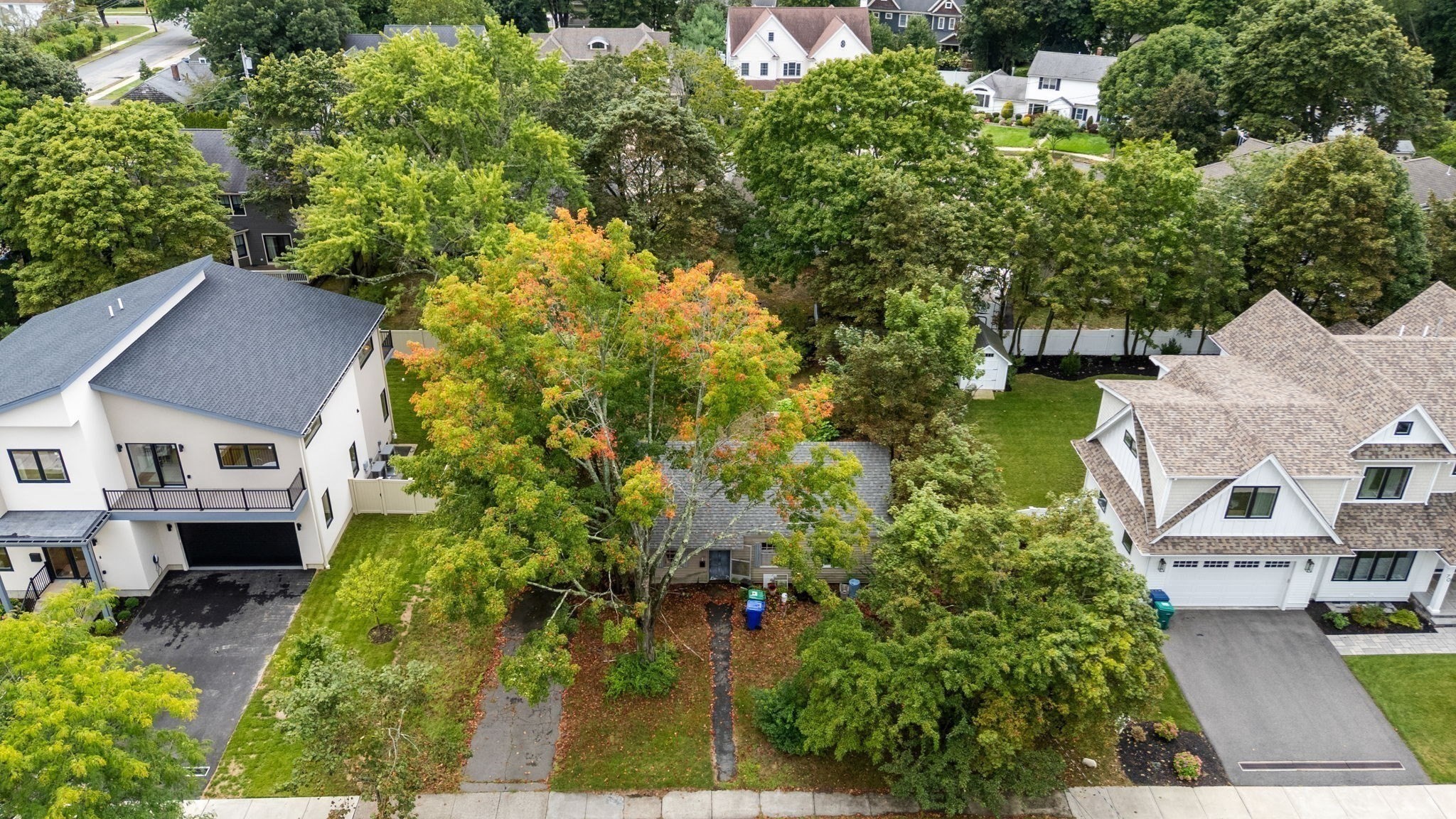 64 Bontempo Road Newton, MA 02459 - Photo 5 of 12 Gallery Image 5