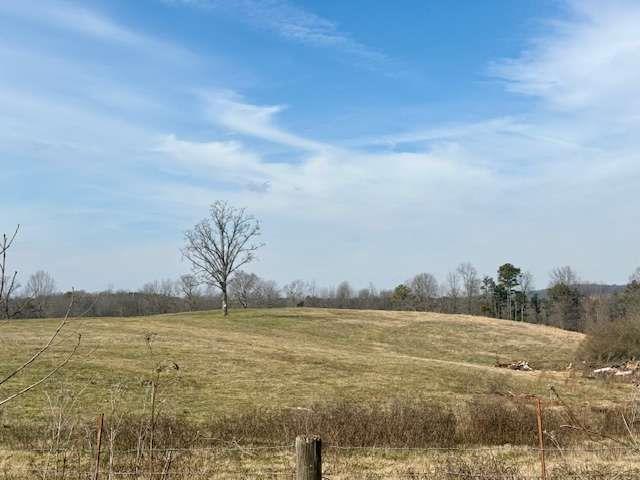 2245 Cheek Pulliam Road Royston, GA 30662 - Photo 7 of 17
