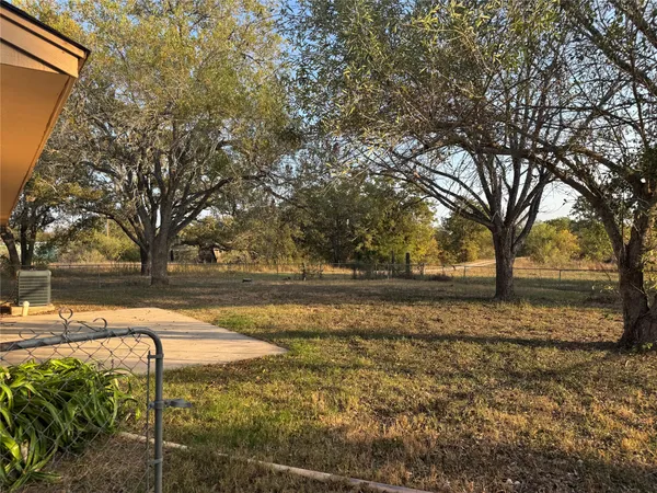 a view of yard with large tree