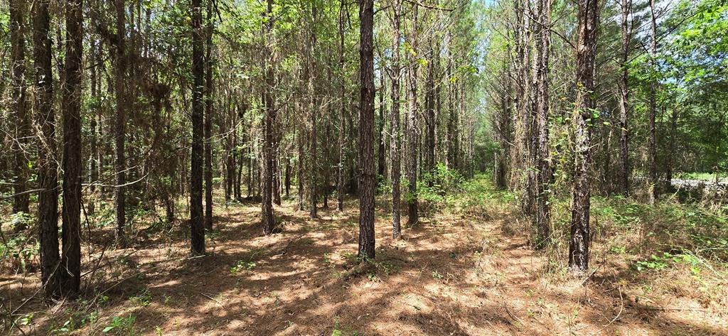 10 Mt Zion Road Gordon, AL 36343 - Photo 27 of 28