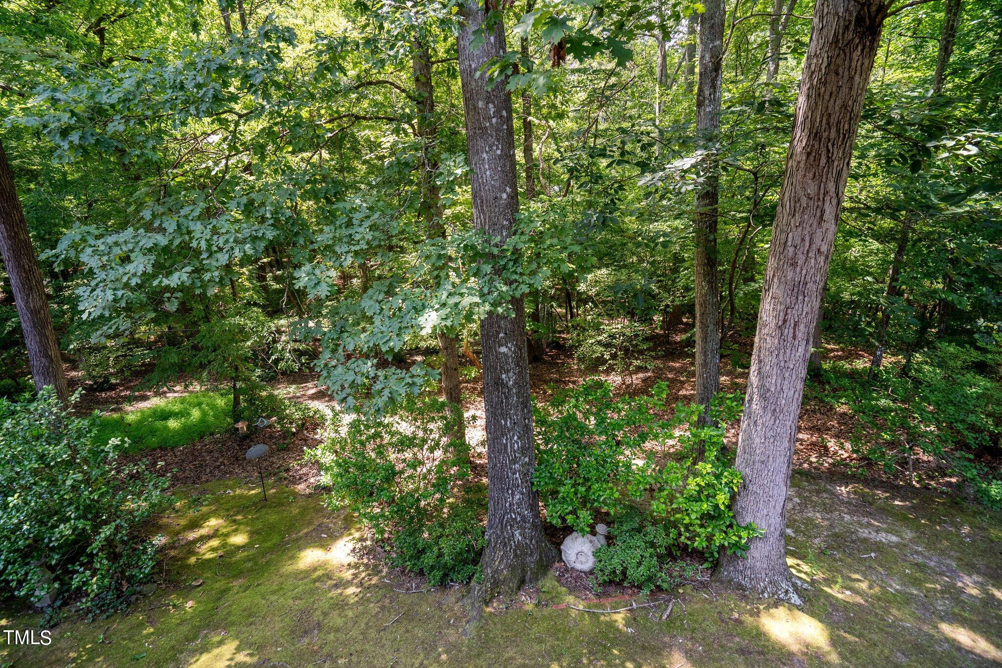 416 Weathergreen Drive Raleigh, NC 27615 - Photo 29 of 37 54-web-or-mls-_NFP1573