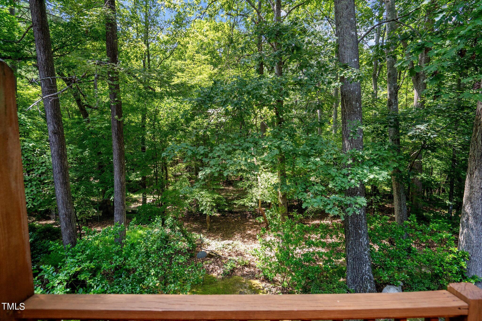 416 Weathergreen Drive Raleigh, NC 27615 - Photo 30 of 37 56-web-or-mls-_NFP1575
