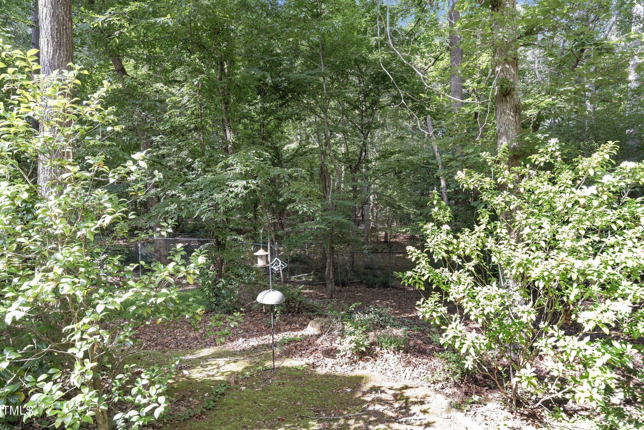 416 Weathergreen Drive Raleigh, NC 27615 - Photo 31 of 37 36-web-or-mls-8Y3A2635