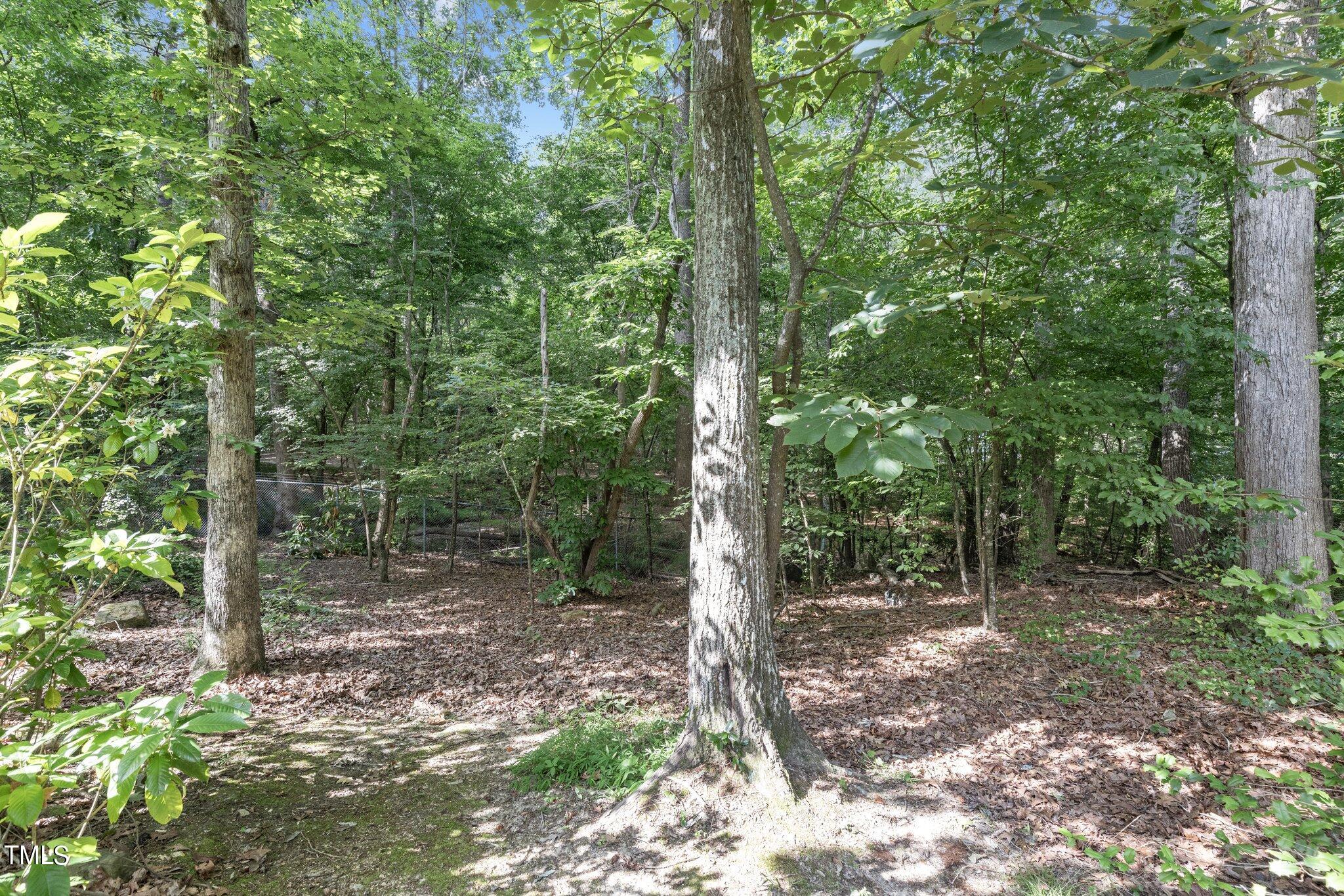 416 Weathergreen Drive Raleigh, NC 27615 - Photo 34 of 37 33-web-or-mls-8Y3A2633