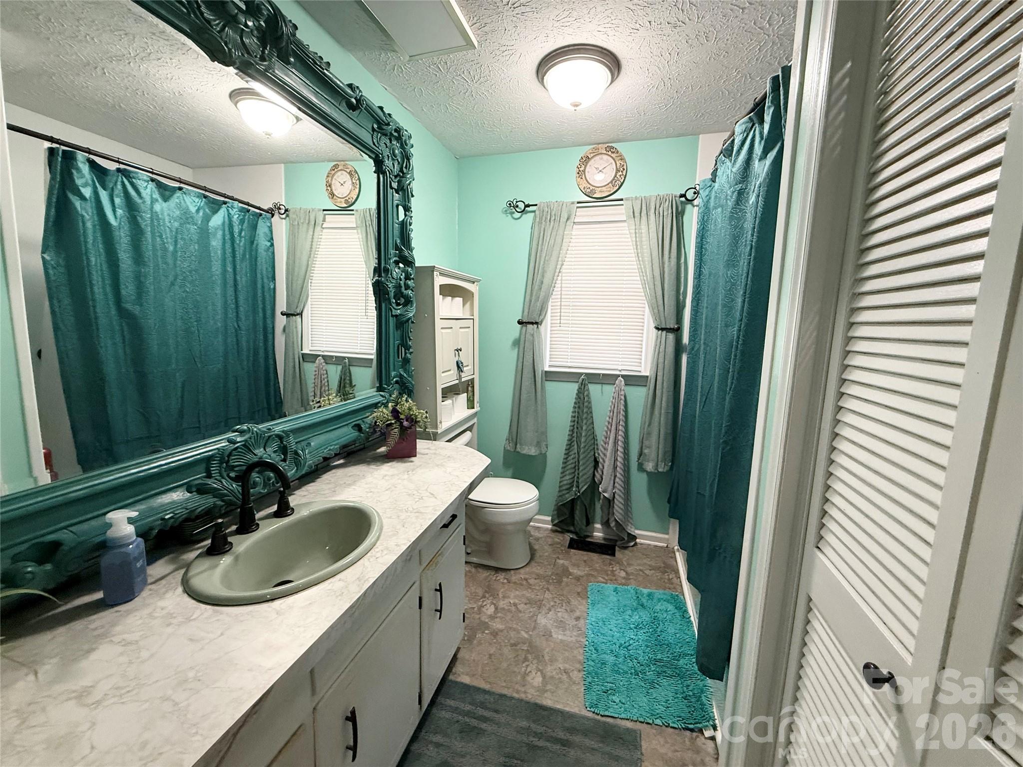 580 Legion Road Lenoir, NC 28645 - Photo 11 of 22 a bathroom with a sink a mirror and a toilet