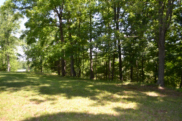 318 Rock Springs Road Celina, TN 38551 - Photo 77 of 87