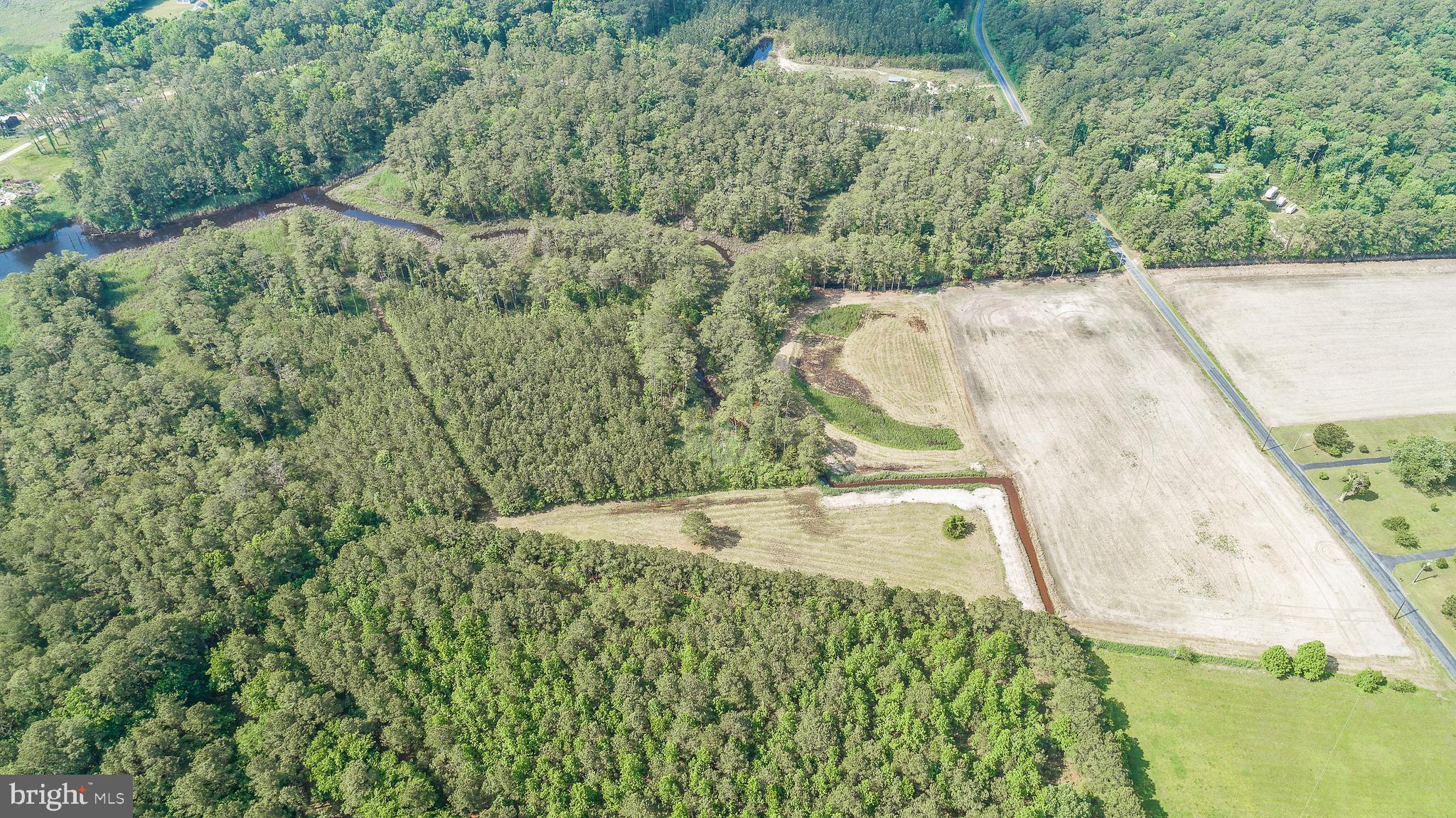 0 Williams Point Road Marion Station, MD 21838 - Photo 12 of 23 Gallery Image 12