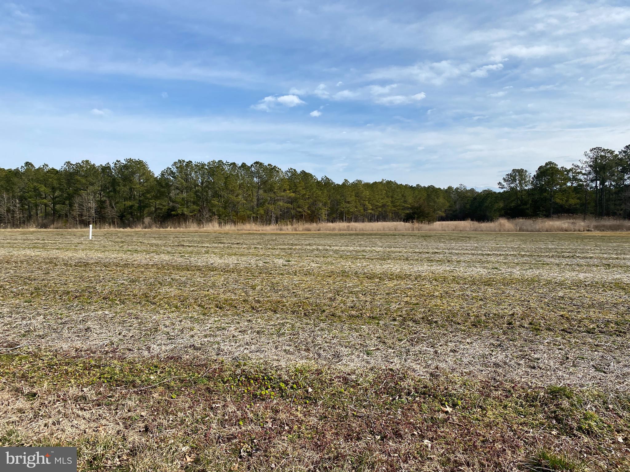 0 Williams Point Road Marion Station, MD 21838 - Photo 22 of 23 Gallery Image 22
