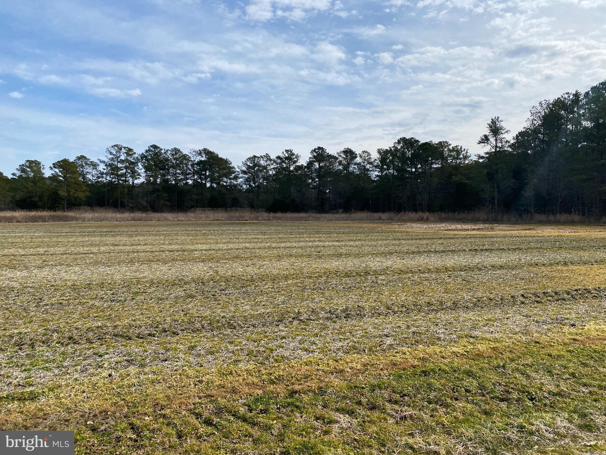 0 Williams Point Road Marion Station, MD 21838 - Photo 23 of 23 Gallery Image 23