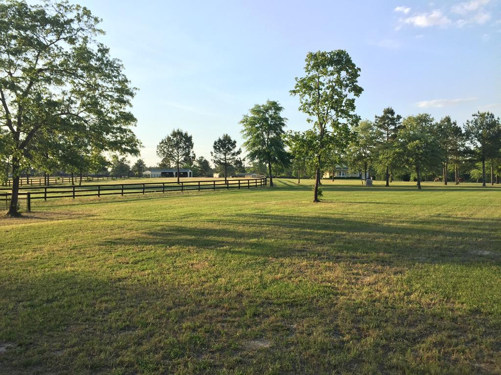 1060 Curb Chain Lane Windsor, SC 29856 - Photo 41 of 44