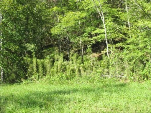 400 Boiling Springs Road Vonore, TN 37885 - Photo 8 of 11 Additional Photo