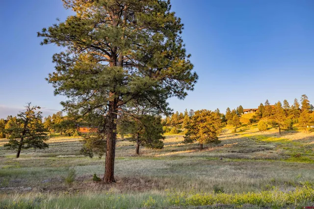 $249,900 | 350 Bristlecone Drive, Pagosa Springs, CO 81147