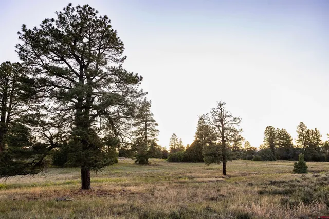 $249,900 | 350 Bristlecone Drive, Pagosa Springs, CO 81147