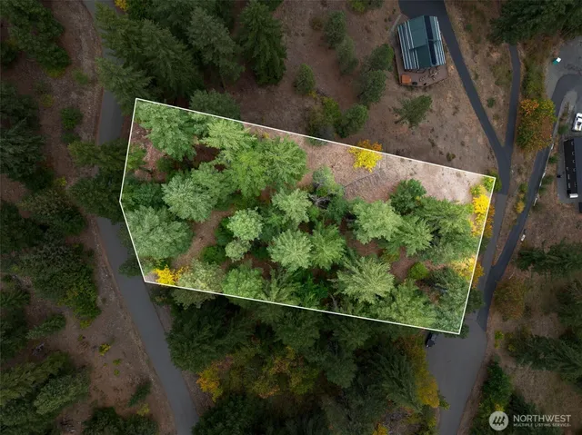 an aerial view of a yard