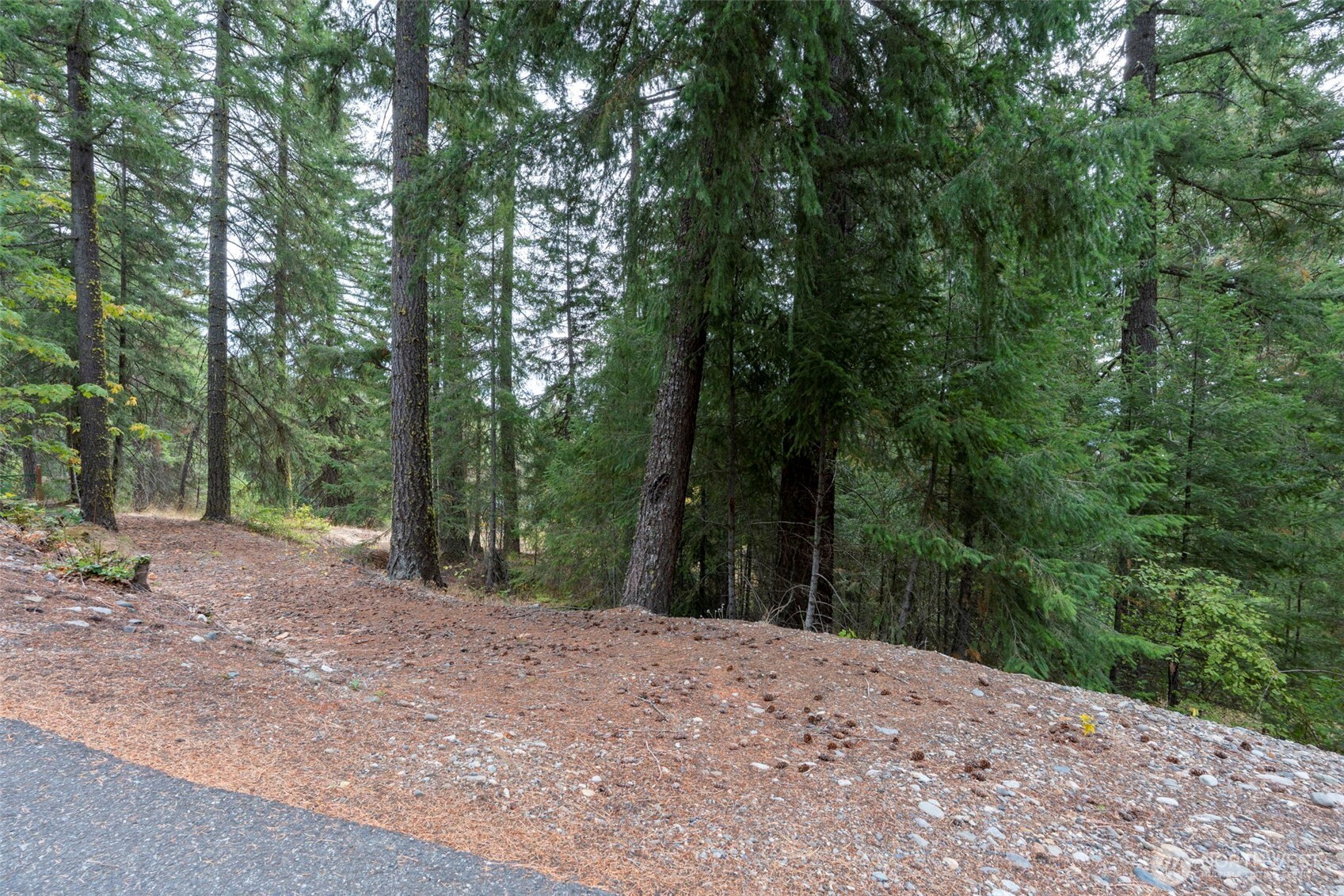0 Boulder Lane Ronald, WA 98940 - Photo 11 of 15 a view of a backyard with trees