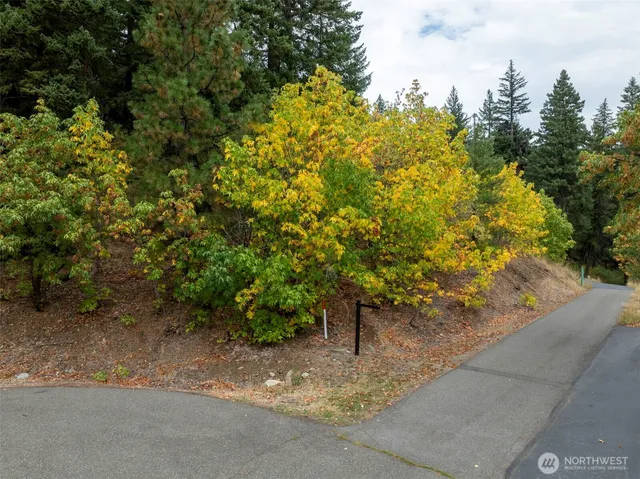 a view of a garden with plants