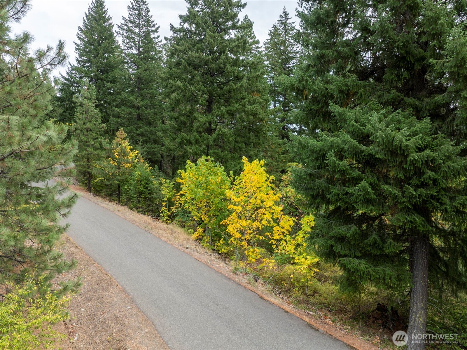 0 Boulder Lane Ronald, WA 98940 - Photo 15 of 15 a view of a garden with plants