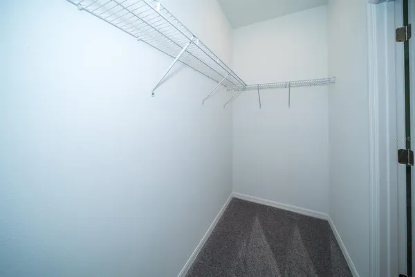 $2,450 | 32134 Powderpuff Mimosa Drive, San Antonio, FL 33576