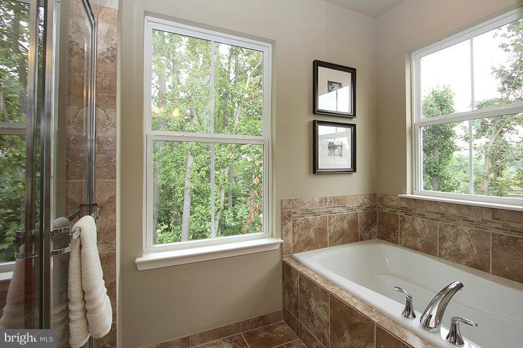 14401 Vedanta Way Silver Spring, MD 20906 - Photo 21 of 30 Bath (Master)
