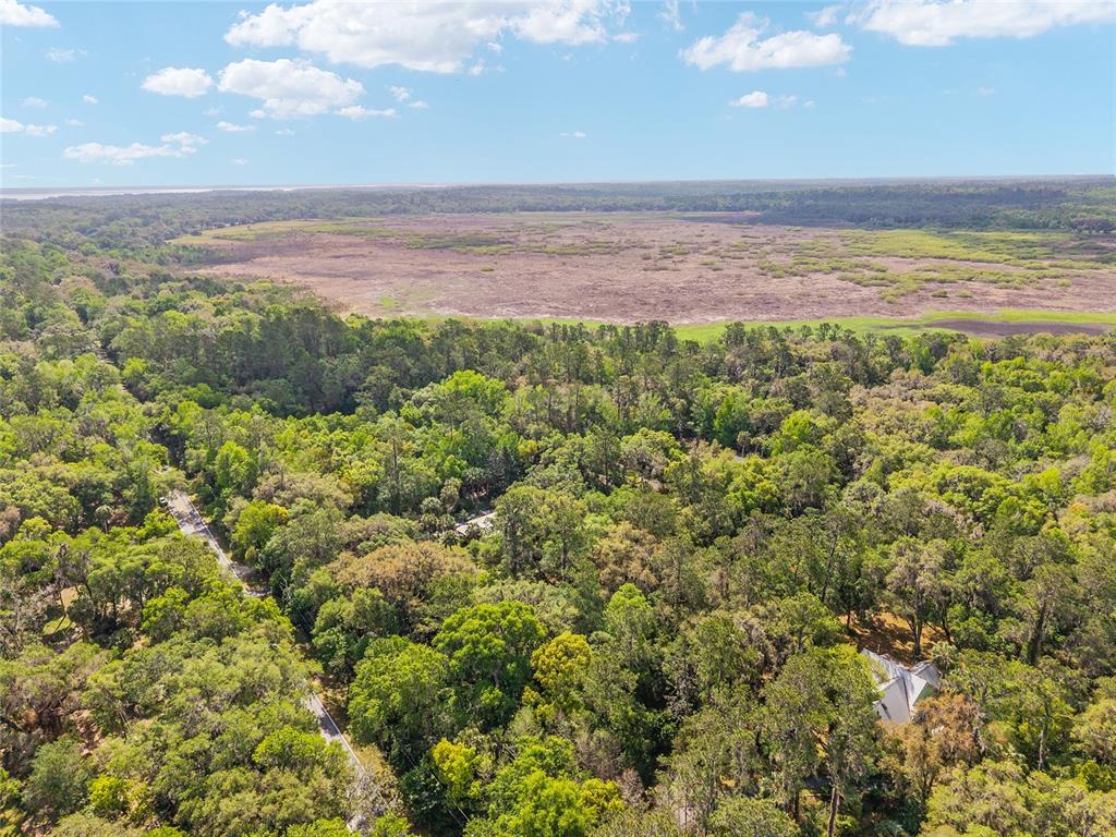 227 Southeast Tuscawilla Road Micanopy, FL 32667 - Photo 5 of 10