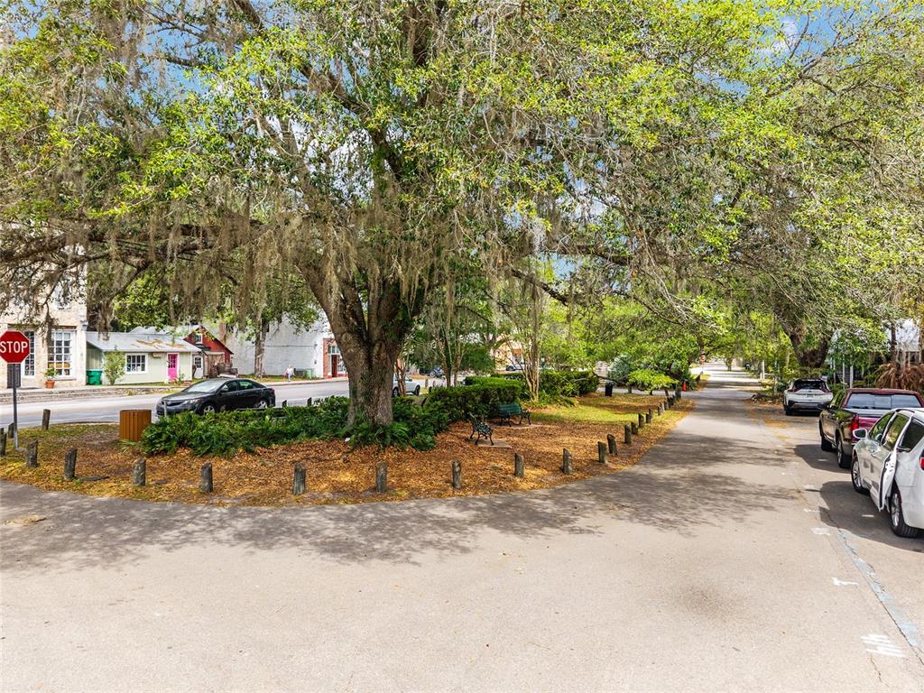 227 Southeast Tuscawilla Road Micanopy, FL 32667 - Photo 8 of 10