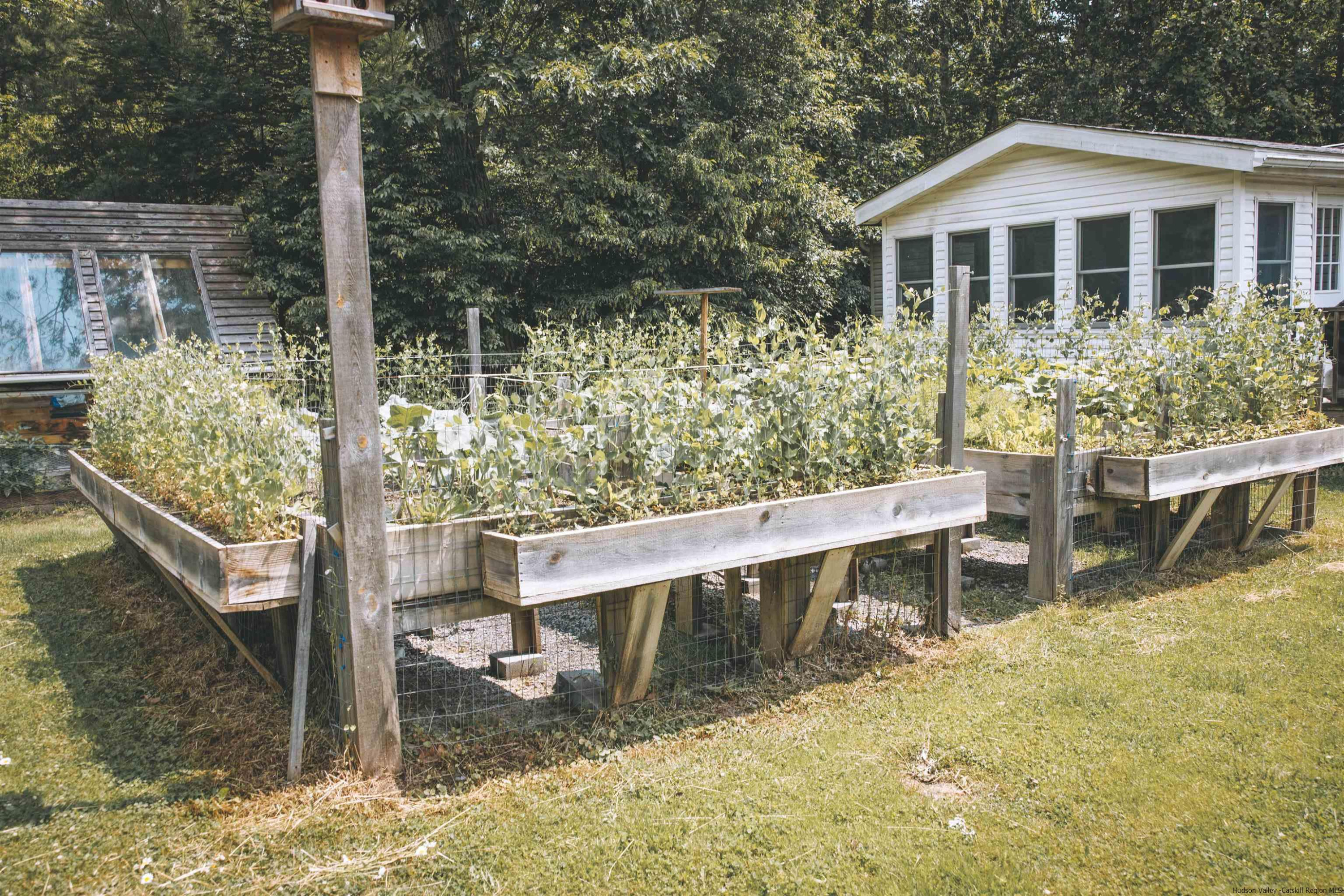186 Patch Road Saugerties, NY 12477 - Photo 6 of 34 a front view of a house with swimming pool