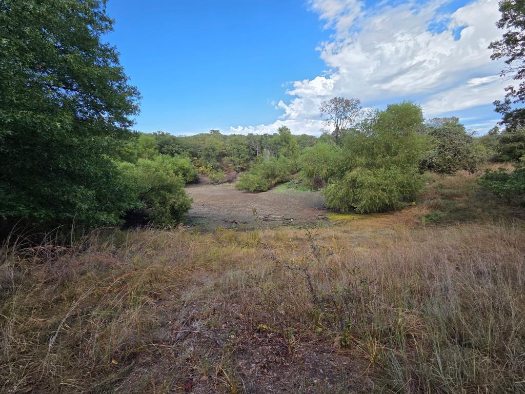 203 Saddle Ridge Court Springtown, TX 76082 - Photo 33 of 34 a view of a yard with a tree
