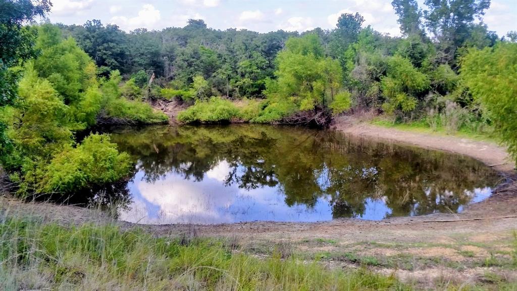 203 Saddle Ridge Court Springtown, TX 76082 - Photo 34 of 34 an aerial view of a houses with yard