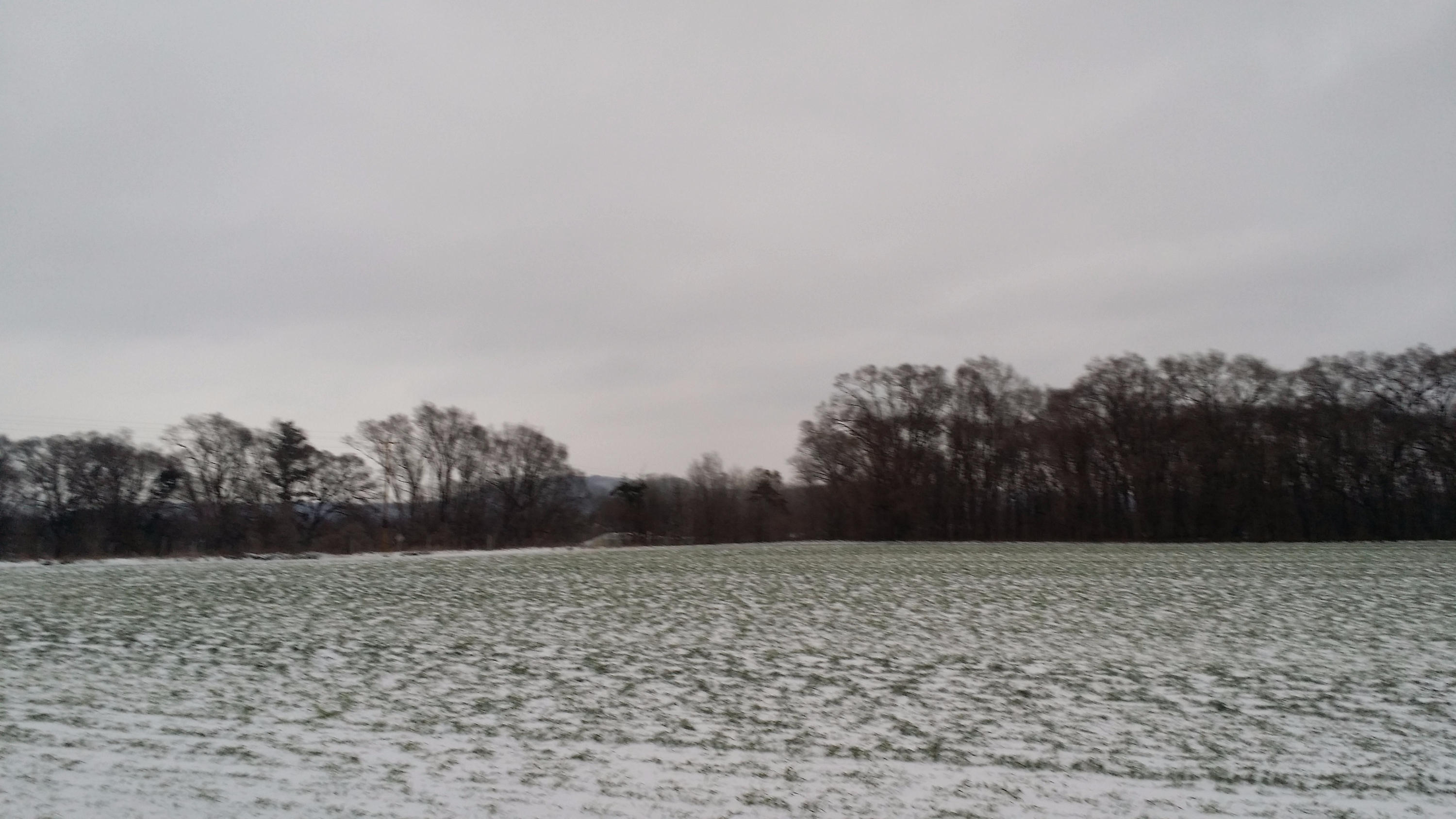 20141124_160600