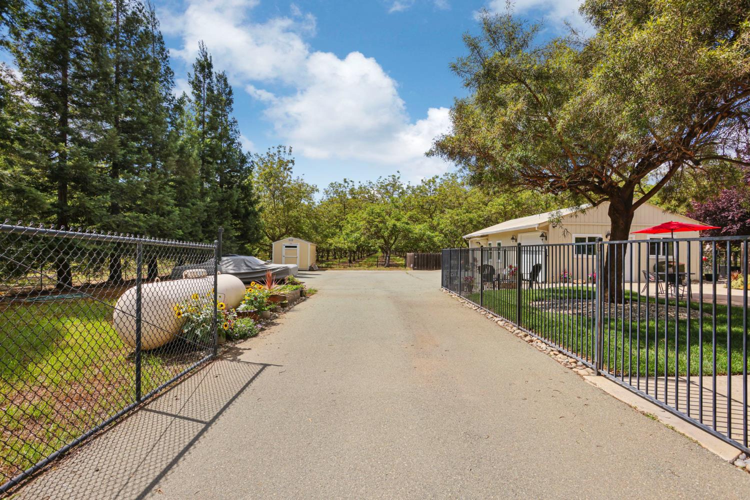 7401 Cox Road Linden, CA 95236 - Photo 35 of 65