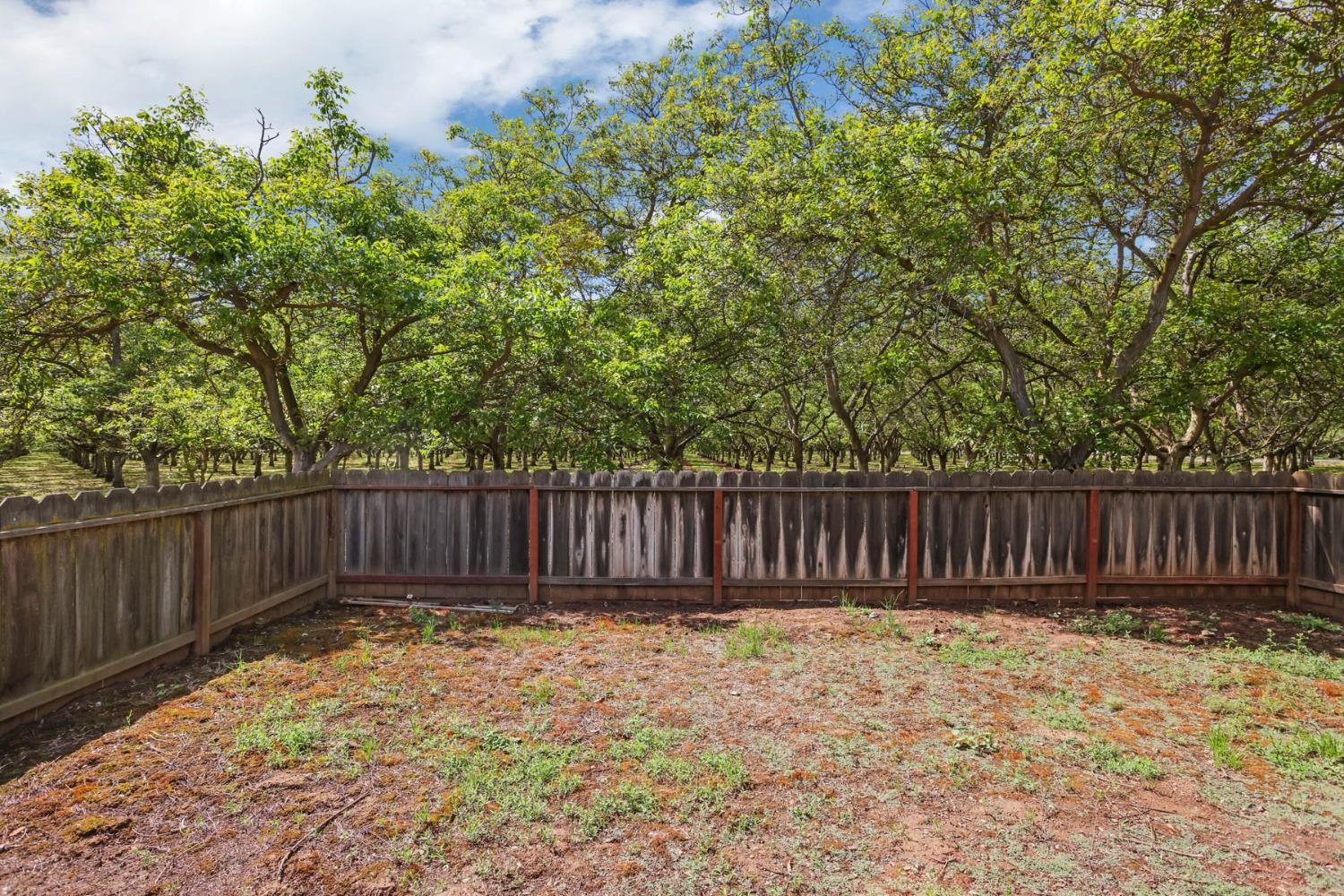7401 Cox Road Linden, CA 95236 - Photo 60 of 65