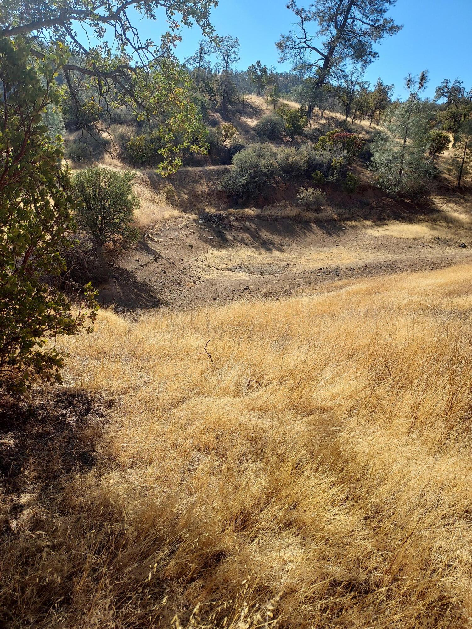 177 Fiddlers Road Igo, CA 96047 - Photo 17 of 26 a view of a yard with an empty space