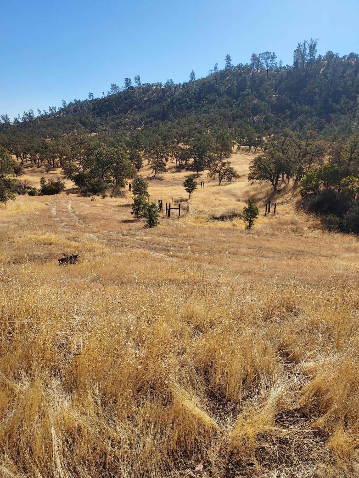 177 Fiddlers Road Igo, CA 96047 - Photo 18 of 26 a view of a town with mountains in the background