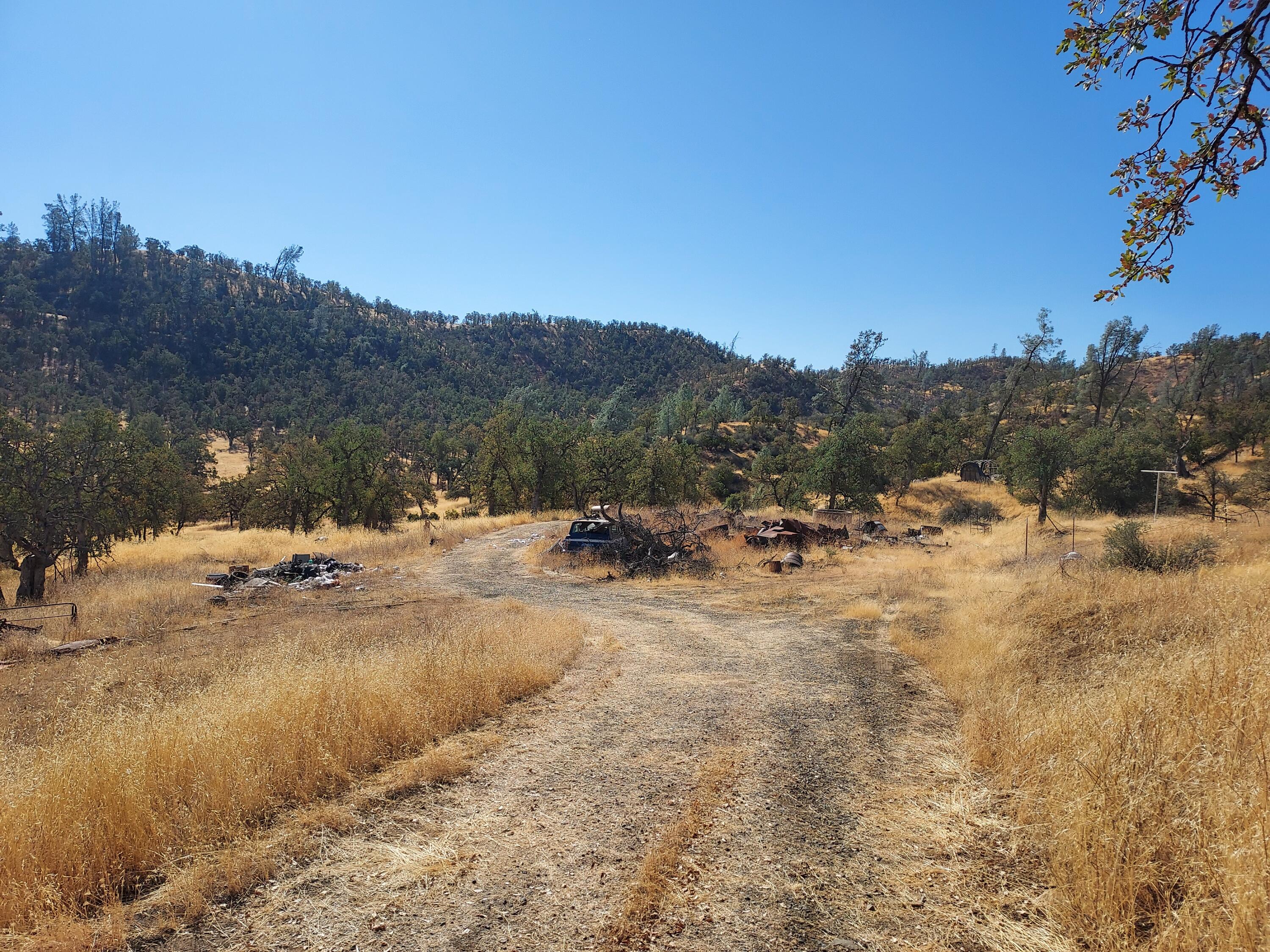 177 Fiddlers Road Igo, CA 96047 - Photo 8 of 26 a view of a yard with a tree