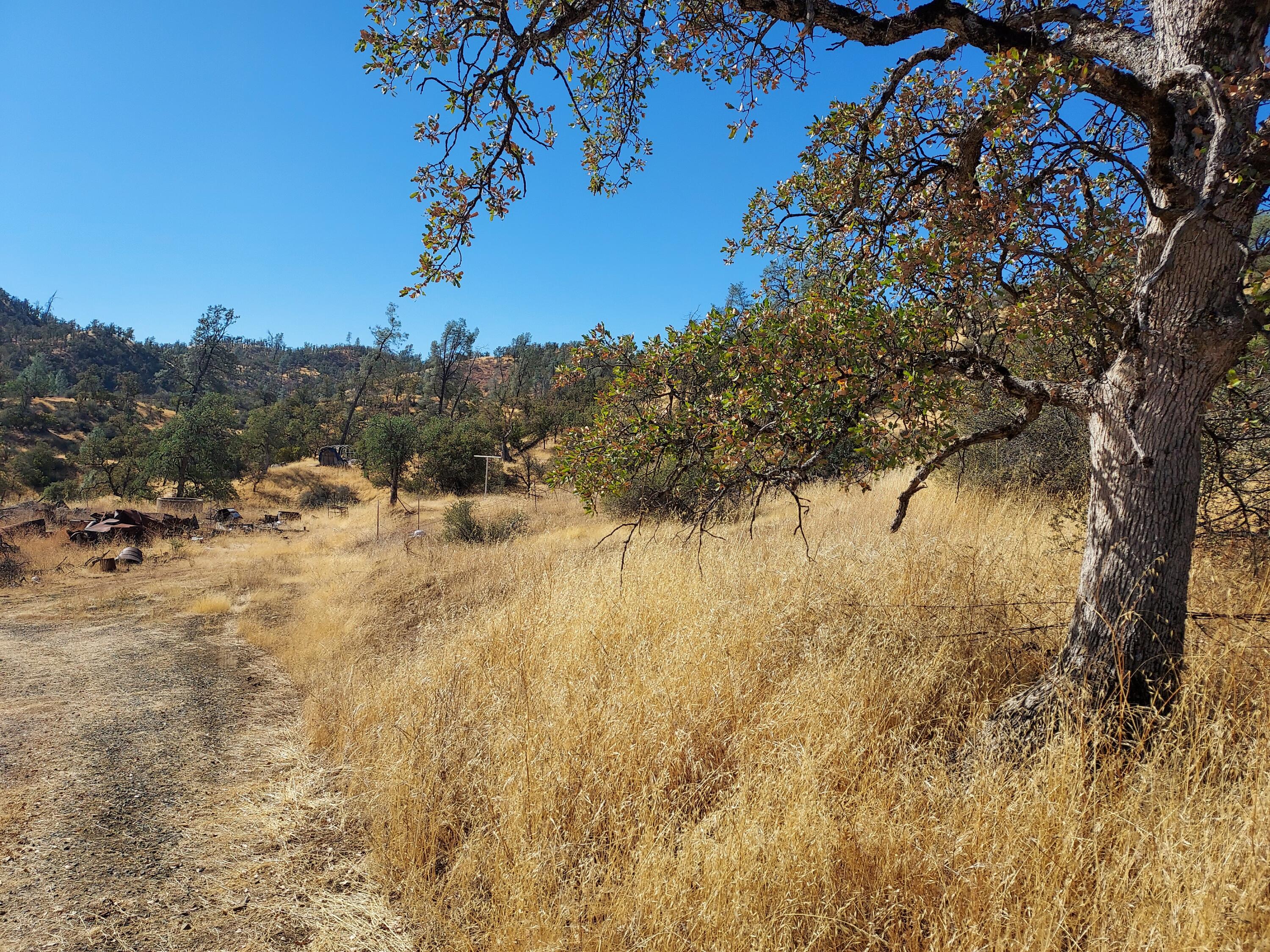 177 Fiddlers Road Igo, CA 96047 - Photo 9 of 26 a view of a yard with a tree