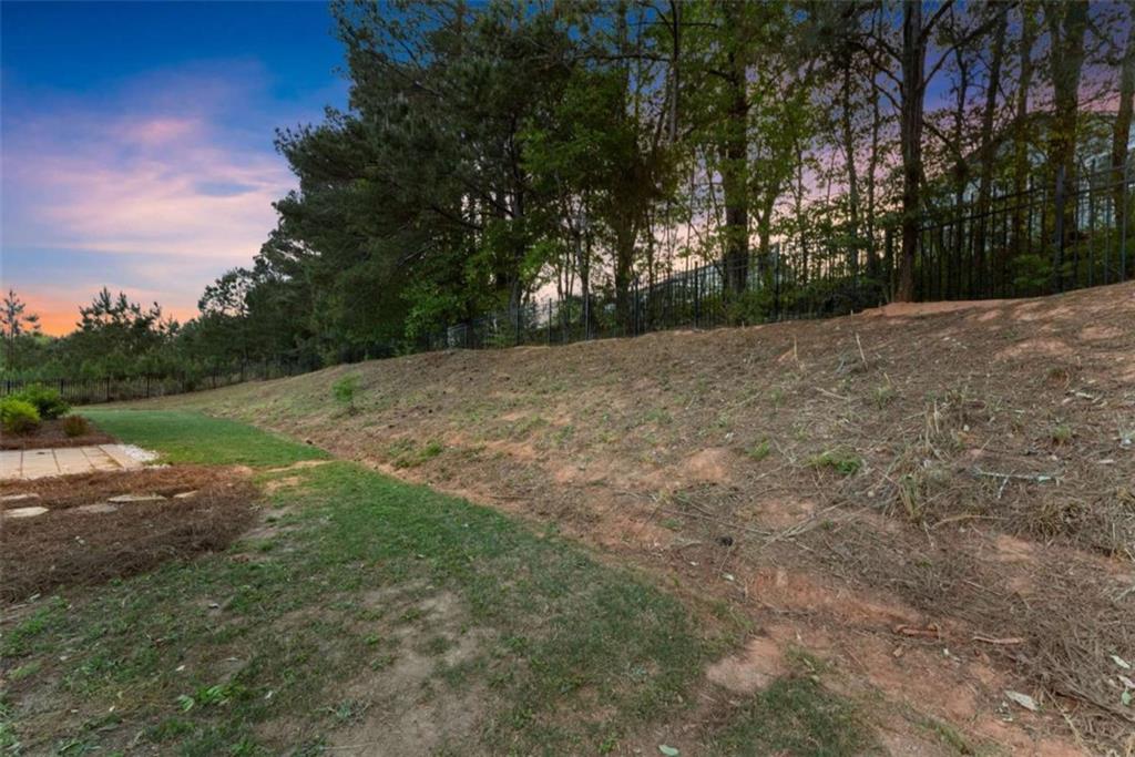 876 Sweetgrass Drive Demorest, GA 30535 - Photo 43 of 56 a view of backyard with green space