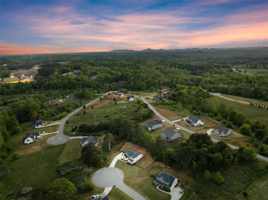 876 Sweetgrass Drive Demorest, GA 30535 - Photo 51 of 56 an aerial view of residential houses with outdoor space and trees