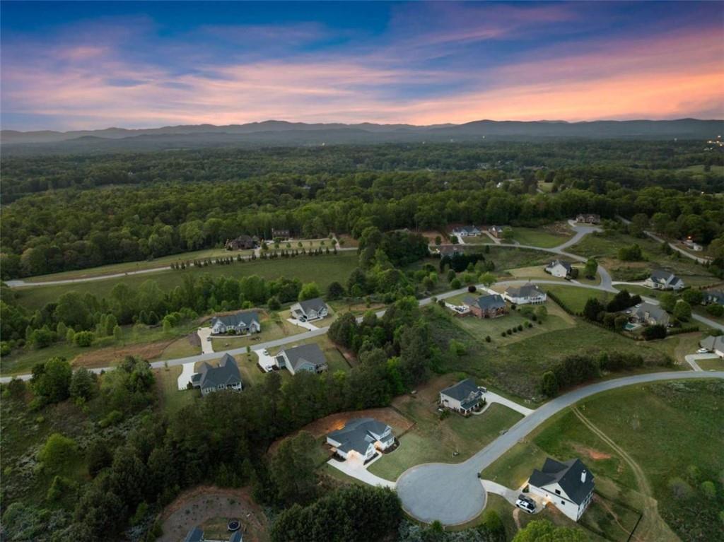 876 Sweetgrass Drive Demorest, GA 30535 - Photo 53 of 56 an aerial view of residential houses with outdoor space and river