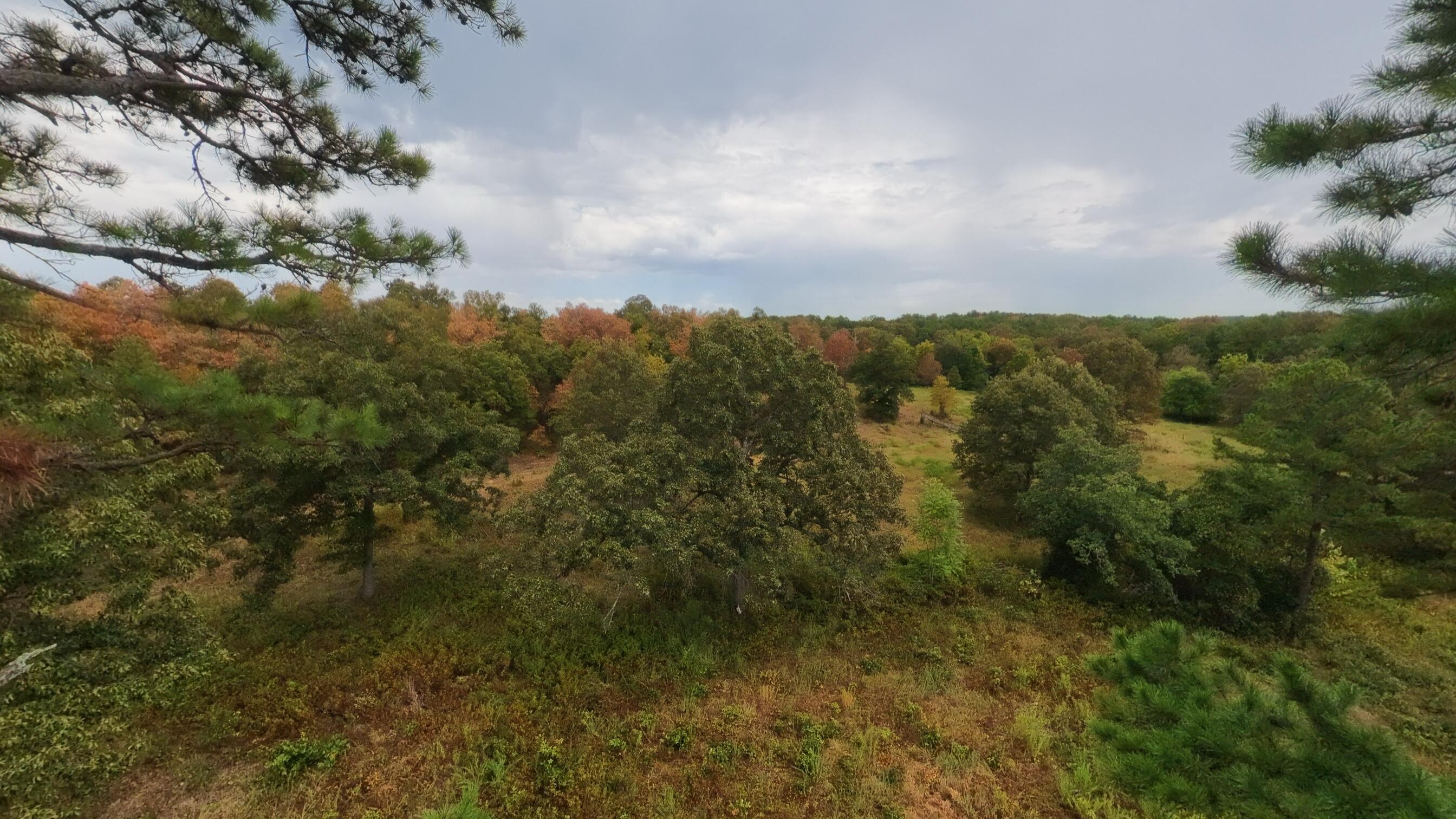 517 Sawmill Road Brockwell, AR 72517 - Photo 23 of 54 40 acres021